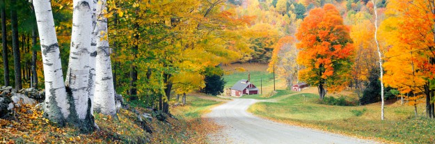 United States of America, Vermont, Fall colours and country road