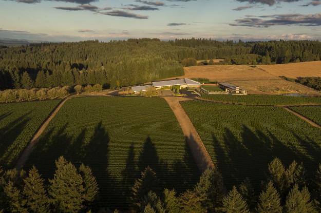 Aerial view over Ponzi Wnery, Sherwood, Willamette Valley, Oregon