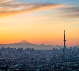 Tokyo Sunset Skyline